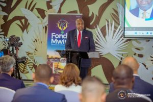 Lancement officiel du premier appel à projets du Fonds Mwinda
